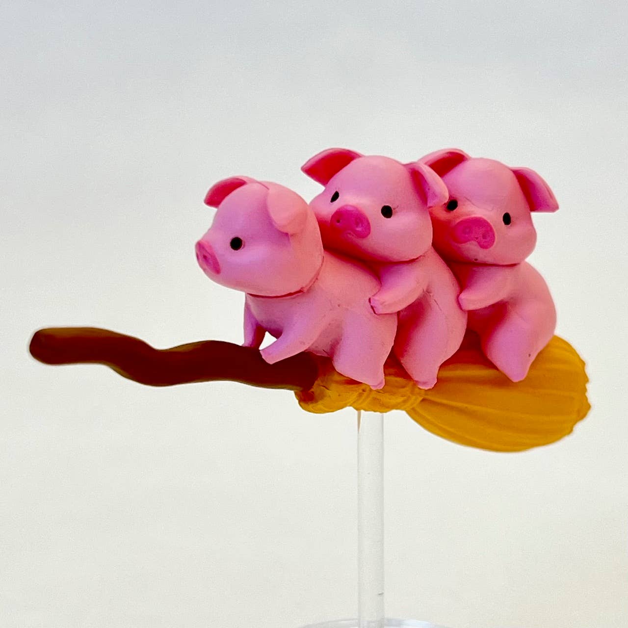 Witchy Broomstick Animals Blind Box