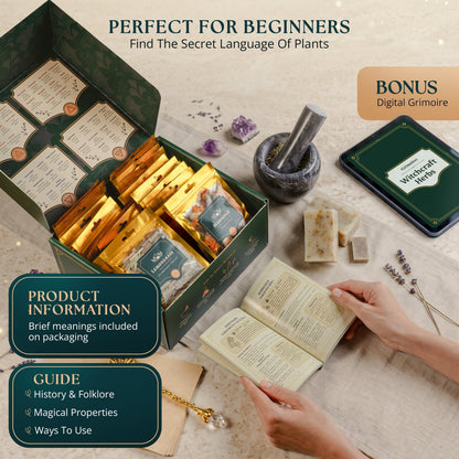 40 PCS Dried Herbs