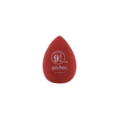 Harry Potter Holiday | Hogwarts™ Express Sponge Set