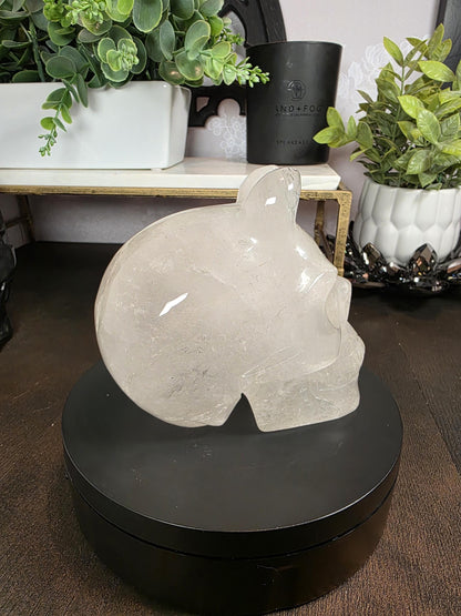 High Quality 4.5" Clear Quartz Devil Skull Carving - Unusual Crystal Horned Skull (2.26 lbs) - Unique Gothic Decor / Halloween Altar