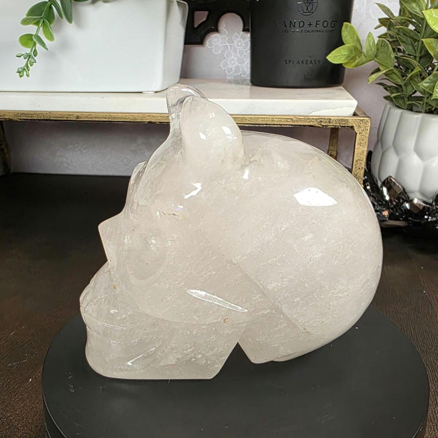 High Quality 4.5" Clear Quartz Devil Skull Carving - Unusual Crystal Horned Skull (2.26 lbs) - Unique Gothic Decor / Halloween Altar