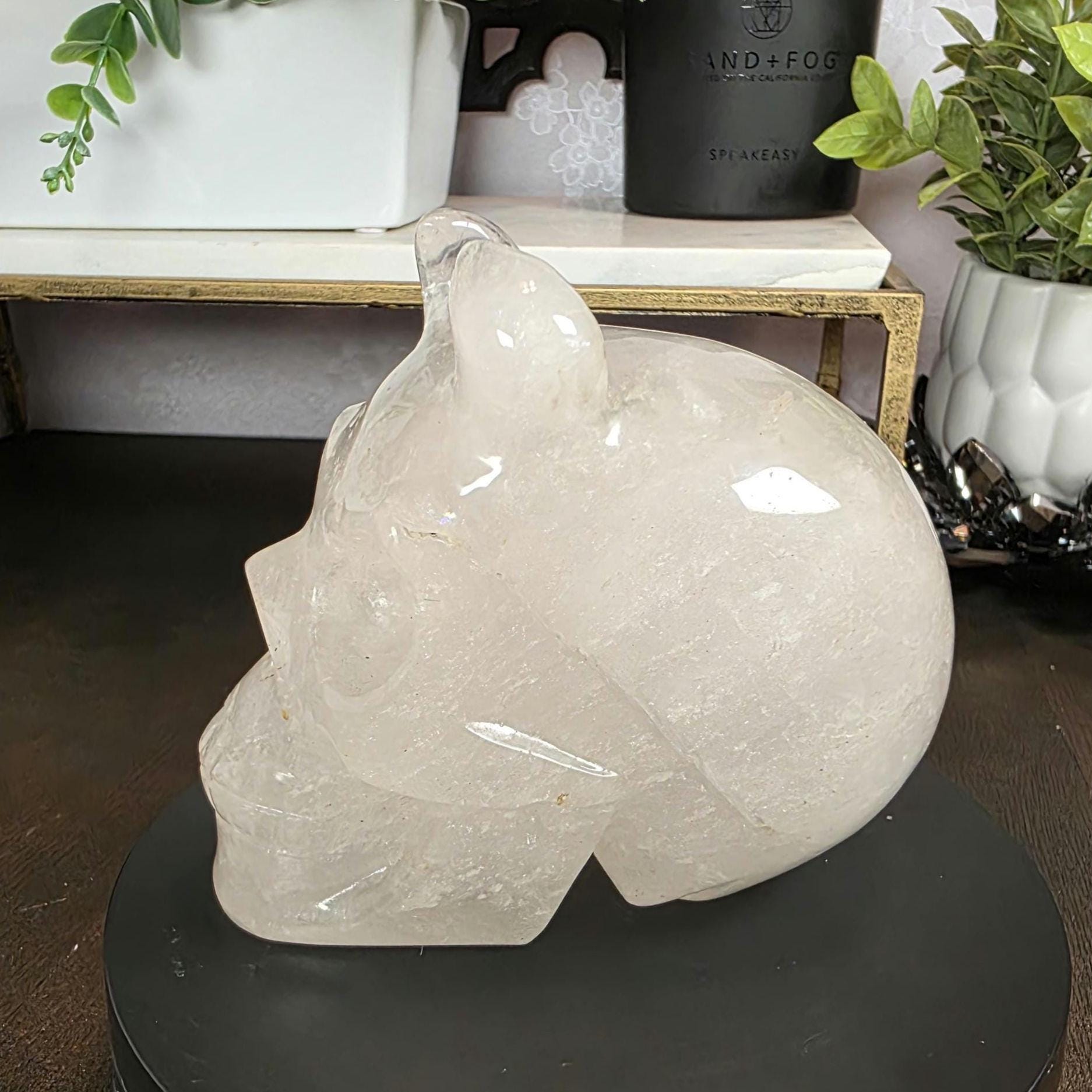 High Quality 4.5" Clear Quartz Devil Skull Carving - Unusual Crystal Horned Skull (2.26 lbs) - Unique Gothic Decor / Halloween Altar