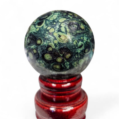 Kambaba Jasper Sphere with Wood Stand - Collector Grade Crystal Orb - Green and Black Crocodile Jasper