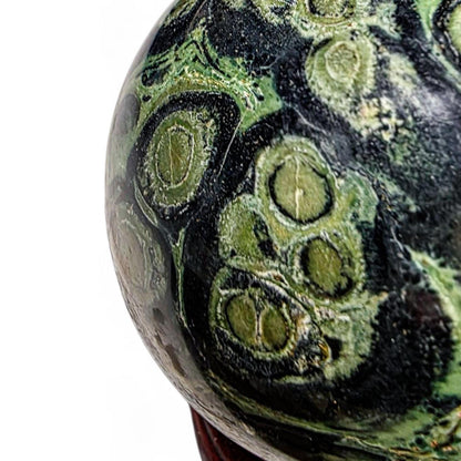 Kambaba Jasper Sphere with Wood Stand - Collector Grade Crystal Orb - Green and Black Crocodile Jasper