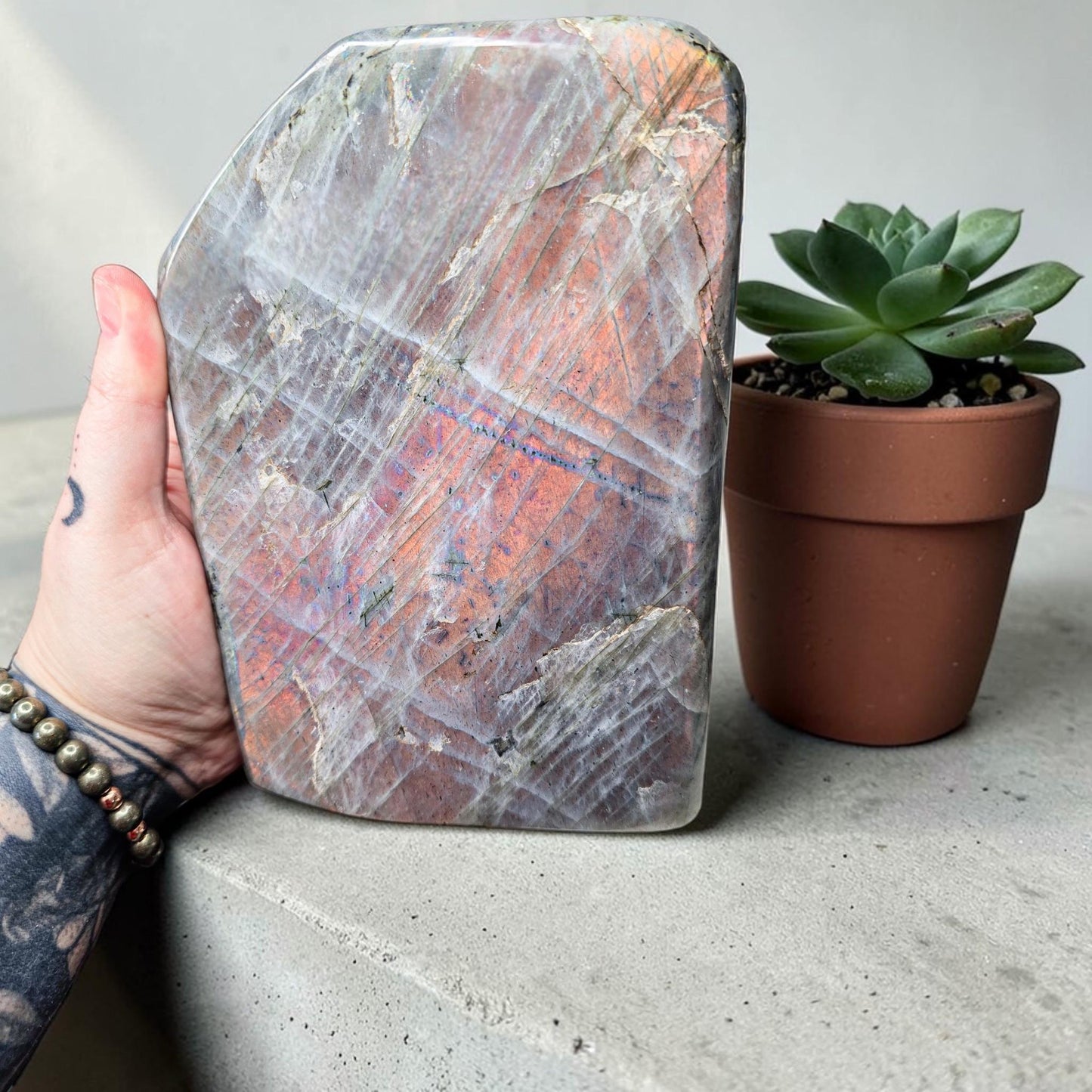 Huge 7.9lb Sunset Labradorite Freeform | Rare Orange & Pink Flash Statement Piece | 7" Polished Crystal Slab | High-End Mineral Specimen