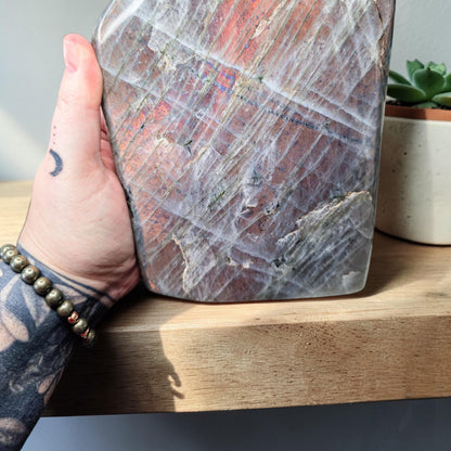 Huge 7.9lb Sunset Labradorite Freeform | Rare Orange & Pink Flash Statement Piece | 7" Polished Crystal Slab | High-End Mineral Specimen