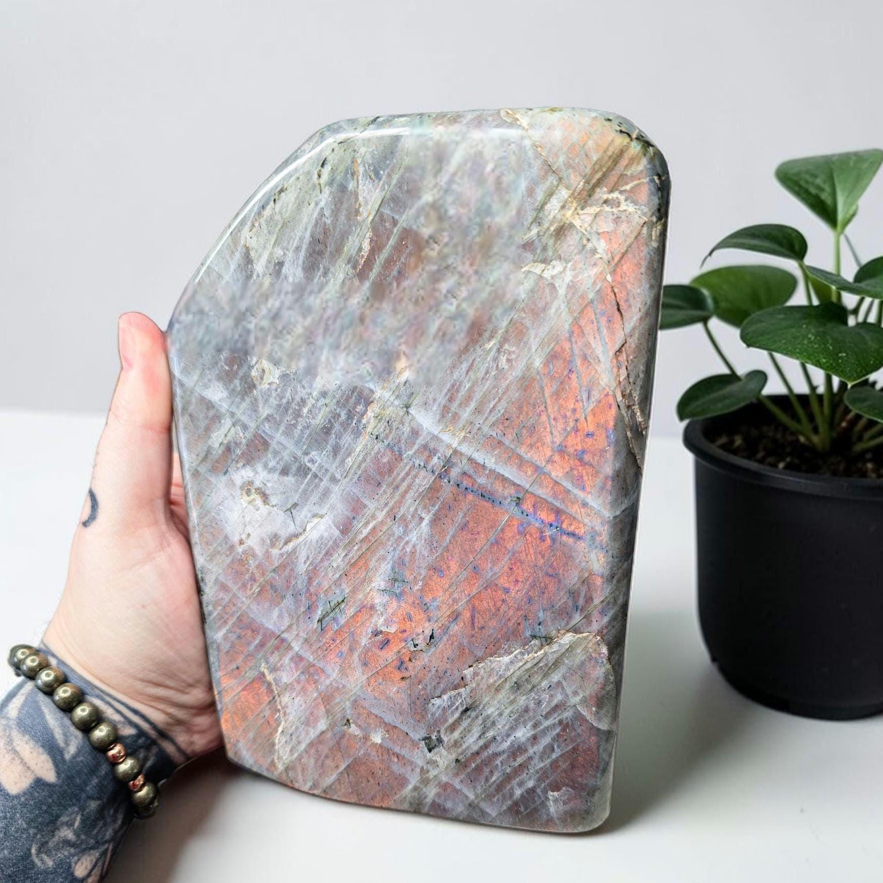 Huge 7.9lb Sunset Labradorite Freeform | Rare Orange & Pink Flash Statement Piece | 7" Polished Crystal Slab | High-End Mineral Specimen
