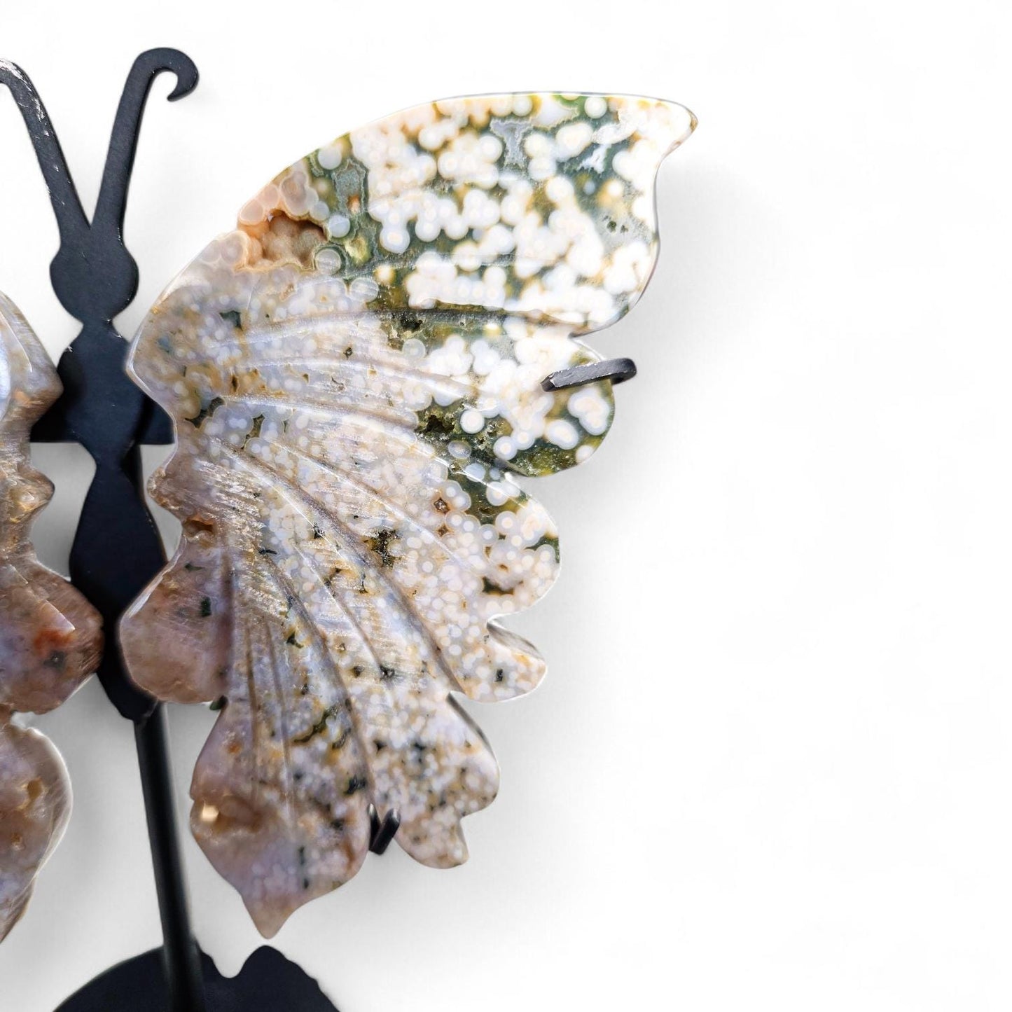 High-Quality Ocean Jasper Butterfly Wings with Orbicular Patterns - Custom Stand Included - 6.5 inches