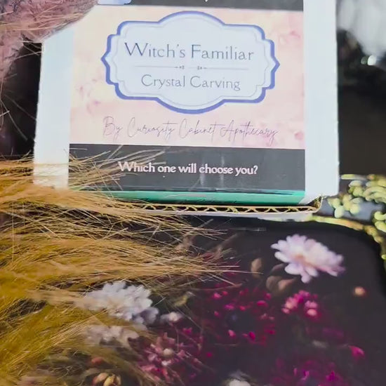 Witch's Familiar Mini Crystal Carving - Unexpected Animal Spirit - Unique Witchy Gift - Which One Will Choose You?
