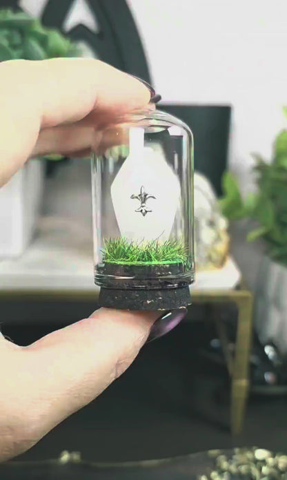 Traveling Cemetery - Mini Crystal Coffin Glass Terrarium - Gothic Desk Decor - Witchy Gifts - Crystal Materials and Cross Styles Vary