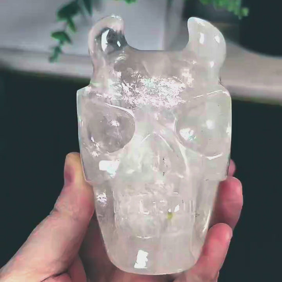 High Quality 4.5" Clear Quartz Devil Skull Carving - Unusual Crystal Horned Skull (2.26 lbs) - Unique Gothic Decor / Halloween Altar