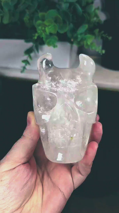 High Quality 4.5" Clear Quartz Devil Skull Carving - Unusual Crystal Horned Skull (2.26 lbs) - Unique Gothic Decor / Halloween Altar