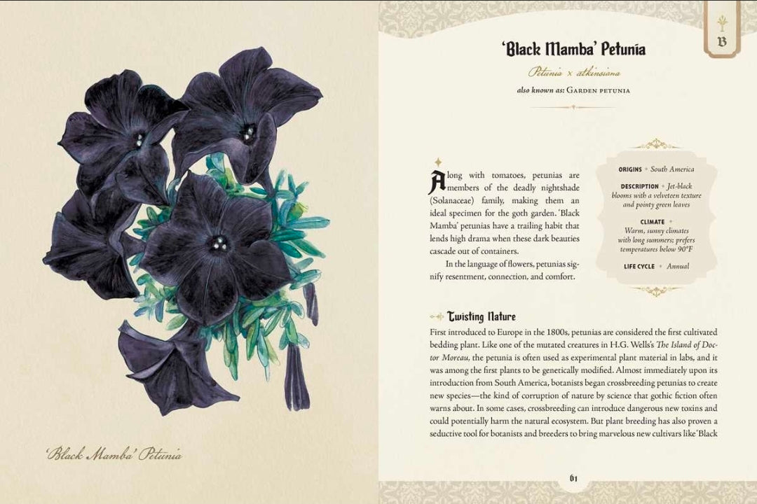 Goth Garden By Felicia Feaster