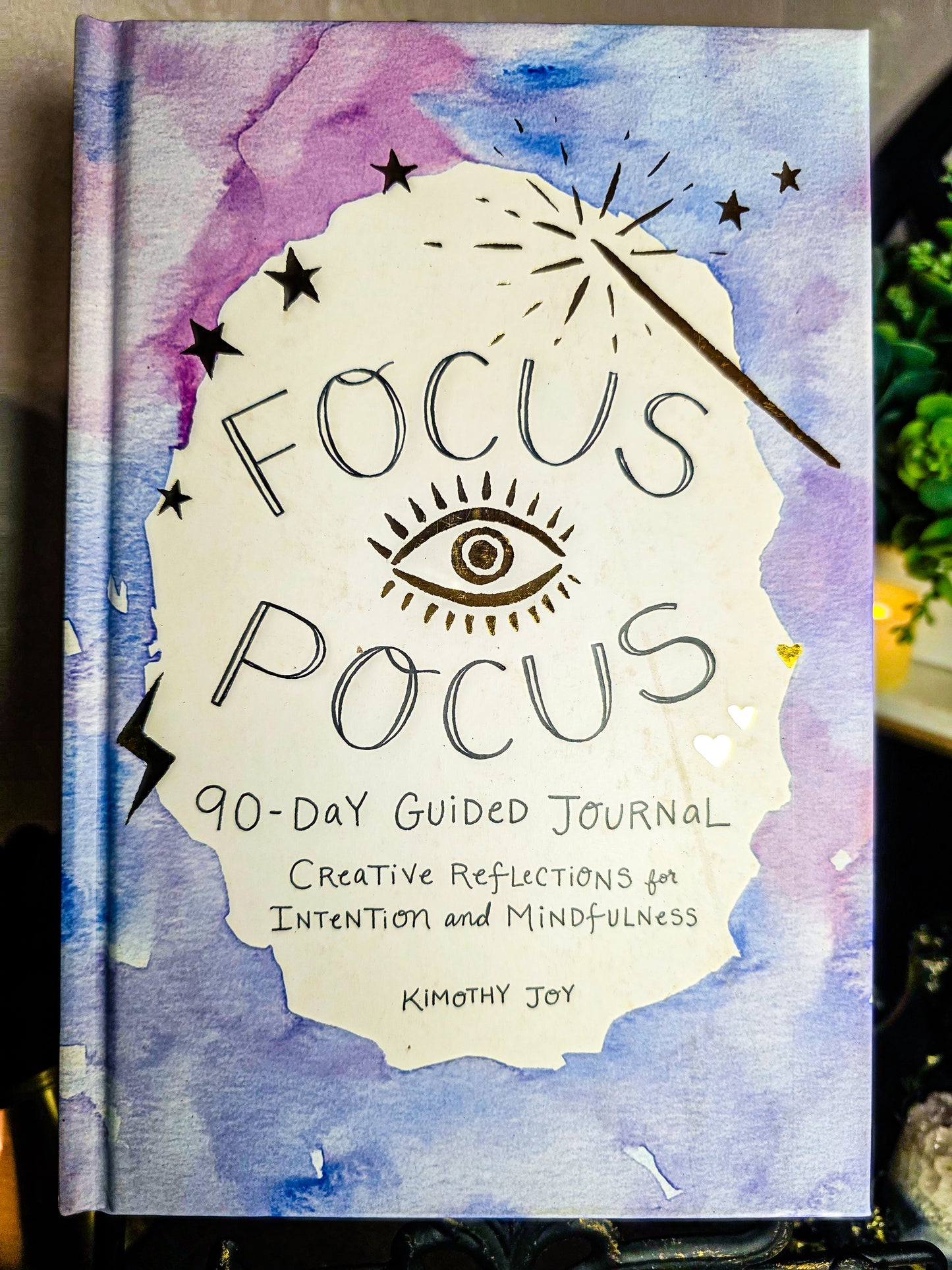 Focus Pocus - 90 Day Guided Journal
