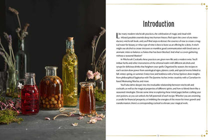 Witchcraft Cocktails By Julia Halina Hadas