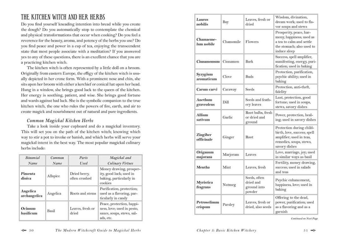 Modern Witchcraft Guide To Magickal Herbs By Judy Ann Nock