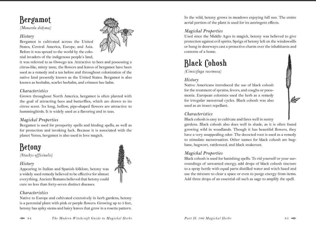 Modern Witchcraft Guide To Magickal Herbs By Judy Ann Nock