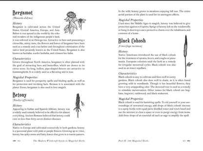 Modern Witchcraft Guide To Magickal Herbs By Judy Ann Nock