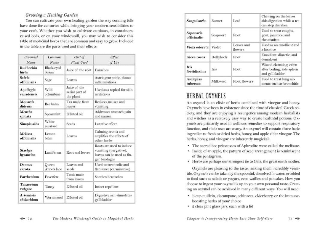 Modern Witchcraft Guide To Magickal Herbs By Judy Ann Nock