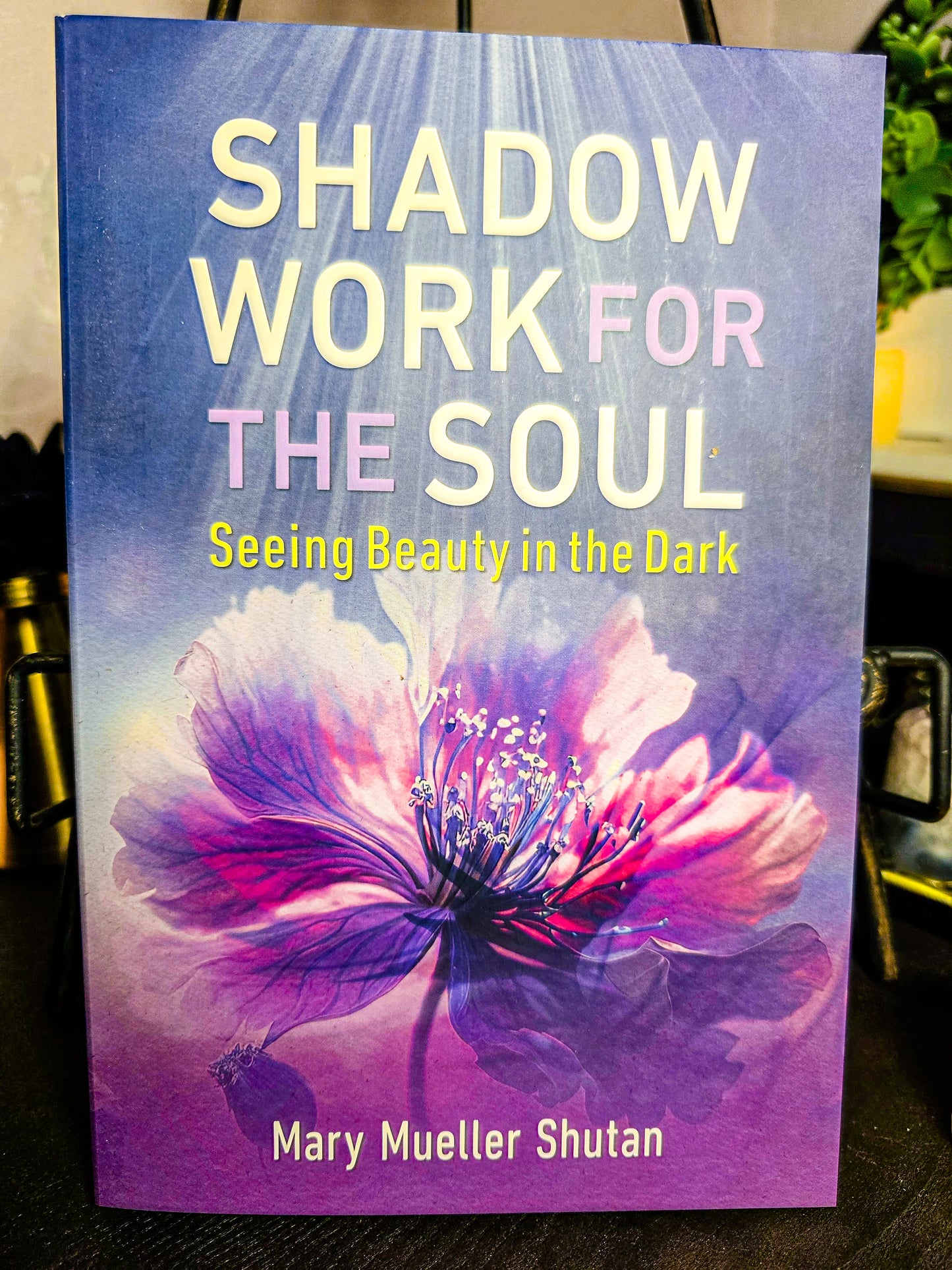 Shadow Work For the Soul By Mary Mueller Shutan