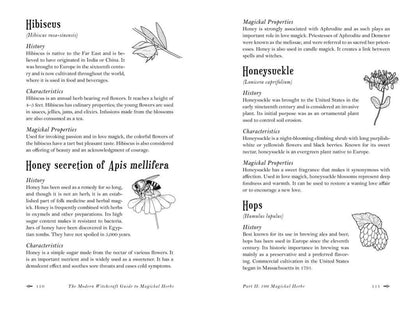 Modern Witchcraft Guide To Magickal Herbs By Judy Ann Nock